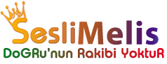 SesLiMeLiS.Com, SesliChat, SesliSohbet, SesliSiteler